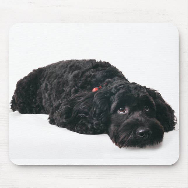 Tapis De Souris Chien triste (Devant)