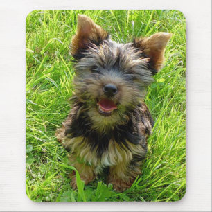 Tapis de souris Chien Yorkshire Terrier chiot Amo