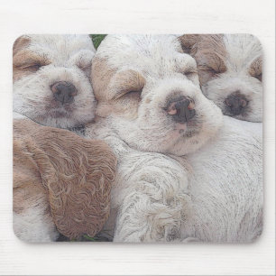 Tapis De Souris Chienchien