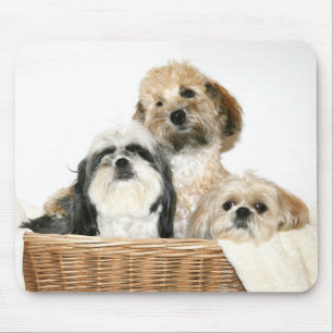 Tapis De Souris Chiens dans un panier