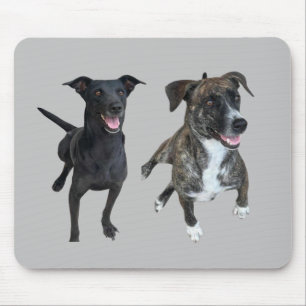 Tapis De Souris Chiens de Carlos