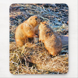 TAPIS DE SOURIS CHIENS DE PRAIRIE