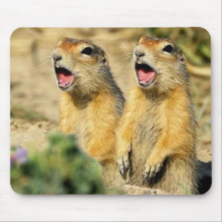 Tapis De Souris Chiens de prairie de chant
