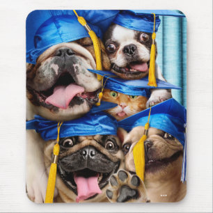 Tapis De Souris Chiens et chats diplômés en cabine photo