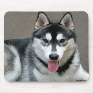 Tapis De Souris Chiens malamutés de l'Alaska