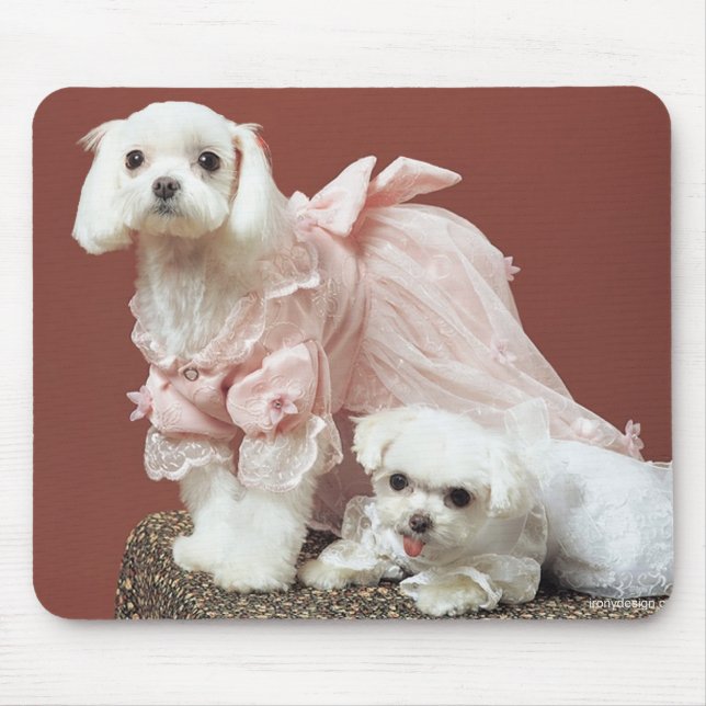 Tapis De Souris Chiens maltais (Devant)