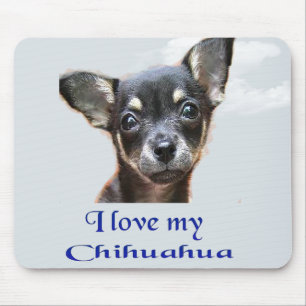 Tapis De Souris chihuahua