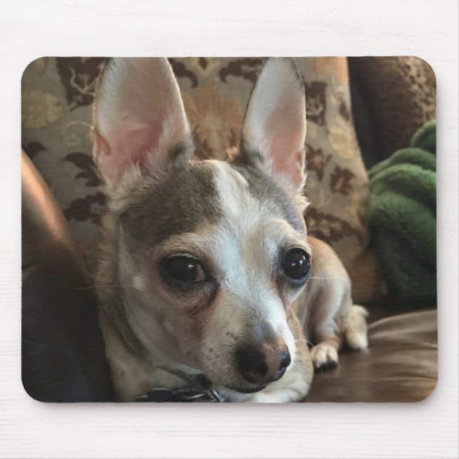 Tapis De Souris Chihuahua Chig Mousepad (Devant)