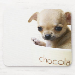 Tapis De Souris Chihuahua chippy en bol (haché)