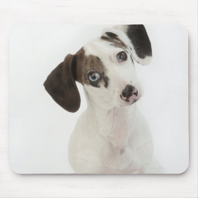 Tapis De Souris Chihuahua/Dachshund, chiot, levrette (Devant)