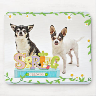 Tapis De Souris Chihuahua du printemps