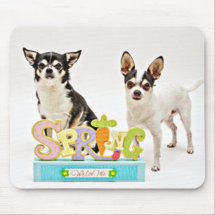 Tapis De Souris Chihuahua du printemps