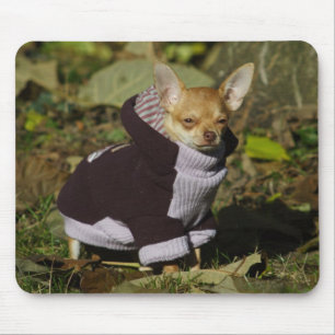 Tapis De Souris Chihuahua élégant