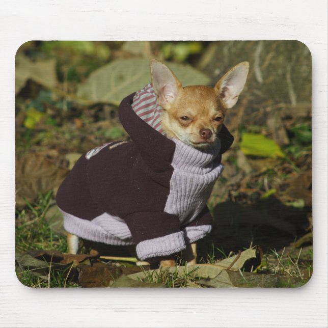 Tapis De Souris Chihuahua élégant (Devant)