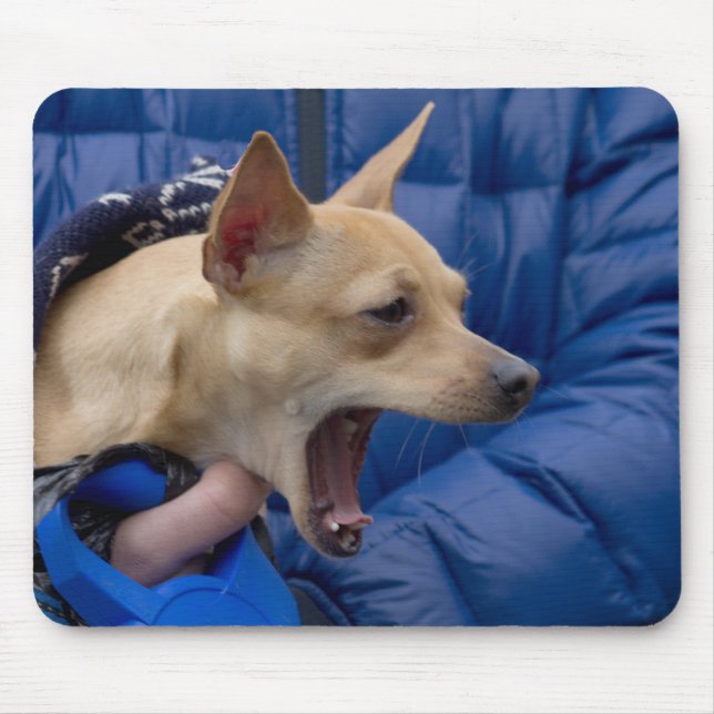 Tapis De Souris Chihuahua hurle (Devant)