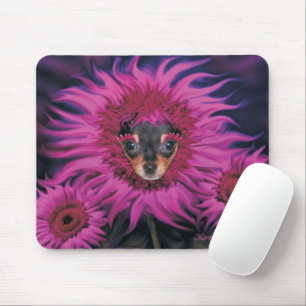 Tapis De Souris Chihuahua Puppy Flower Blossom
