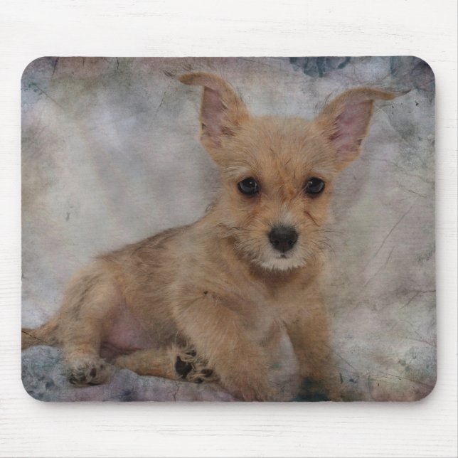 Tapis De Souris Chihuahua/Yorkie Puppy (Devant)