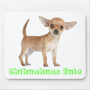 Tapis De Souris Chihuahuas Règle Chien Chien Chien Chien Chien Ch