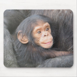 Tapis De Souris Chimpanzé