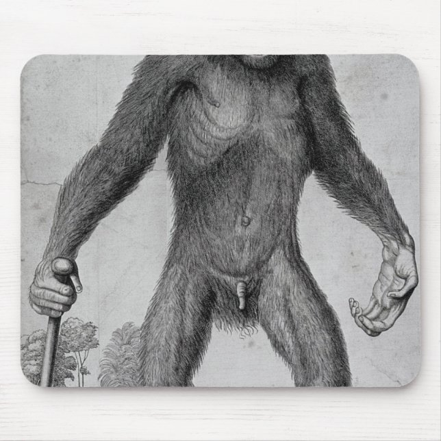Tapis De Souris Chimpanzé, 1699 (Devant)