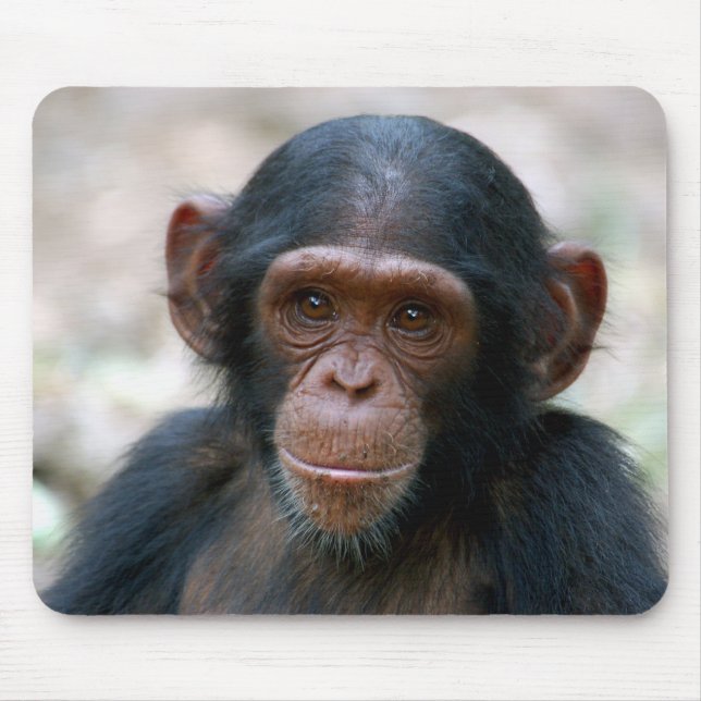 Tapis De Souris Chimpanzé effronté (Devant)
