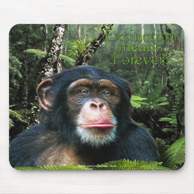 Tapis De Souris Chimpanzé et forêt tropicale Soutien faunique Mous (Devant)