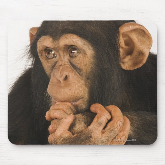 Tapis De Souris Chimpanzé (poêle troglodyte). Jeune joueur 2 (Devant)