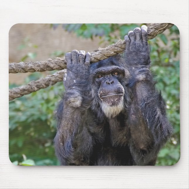 Tapis De Souris Chimpanzé sur corde (Devant)