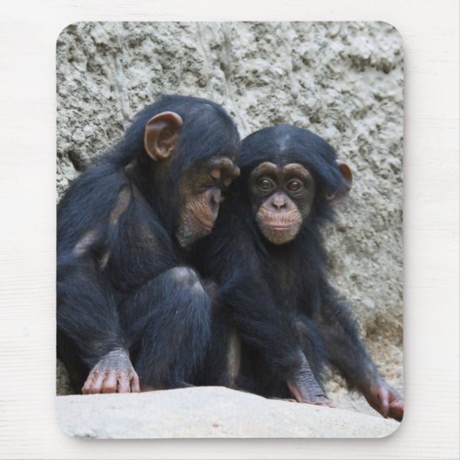 Tapis De Souris Chimpanzee 002 (Devant)