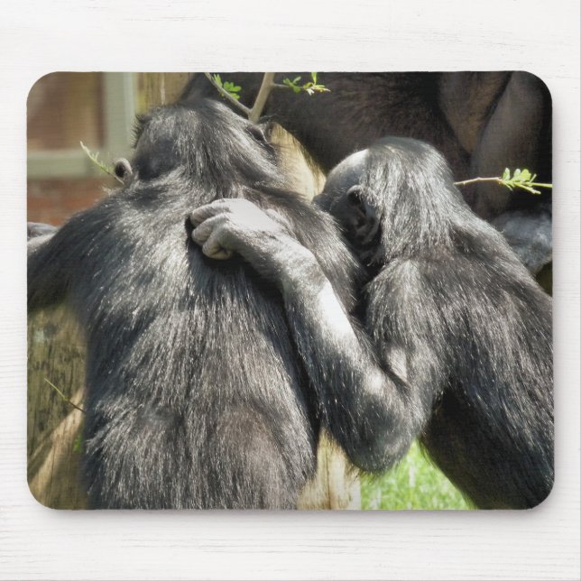 TAPIS DE SOURIS CHIMPANZÉS (Devant)