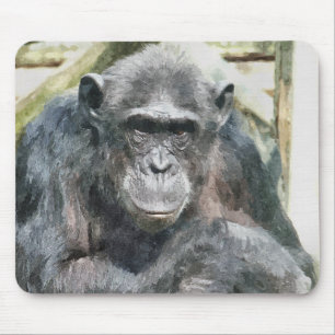 TAPIS DE SOURIS CHIMPANZÉS