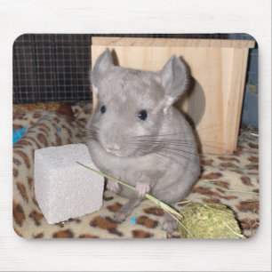Tapis De Souris chinchilla