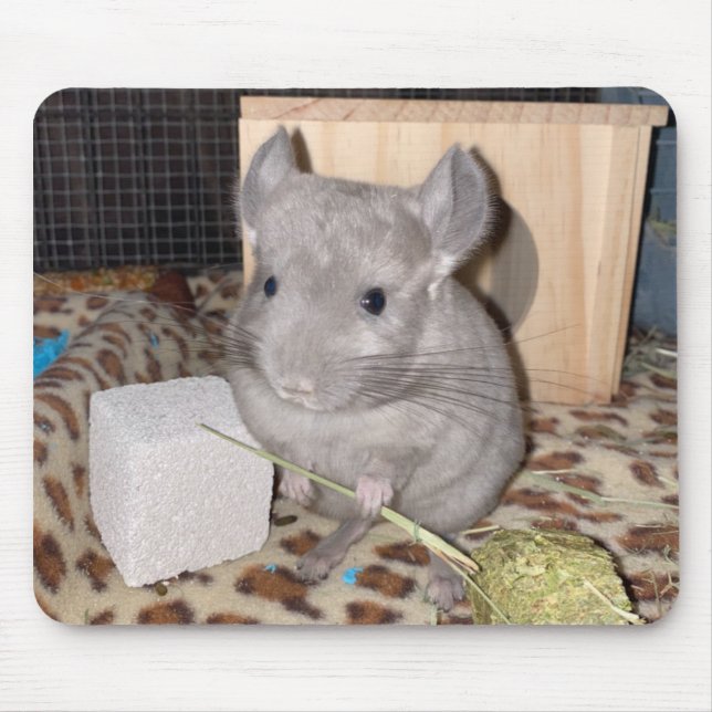 Tapis De Souris chinchilla (Devant)