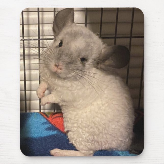 Tapis De Souris chinchilla (Devant)