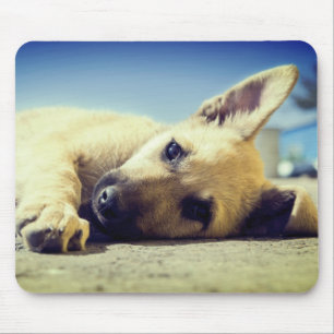 Tapis De Souris Chiot