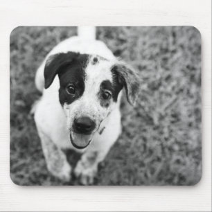 Tapis De Souris Chiot