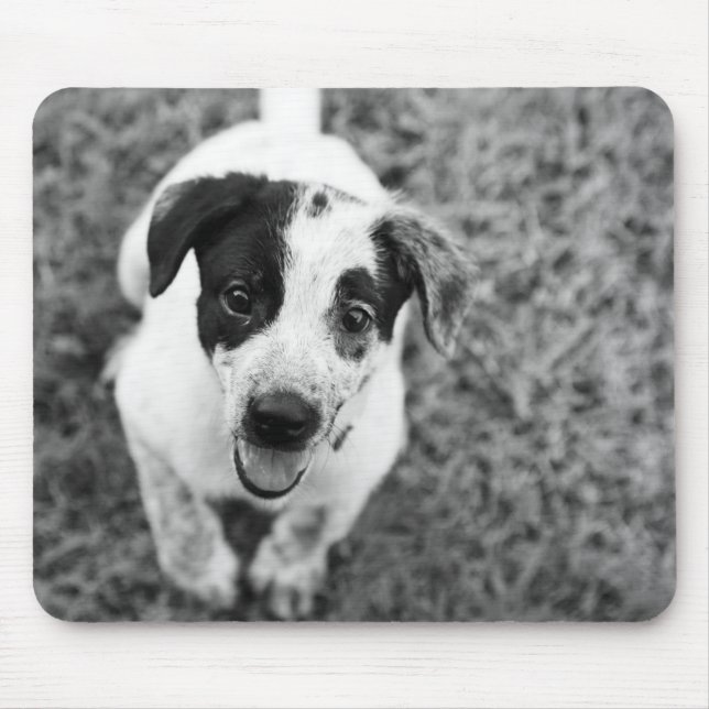 Tapis De Souris Chiot (Devant)