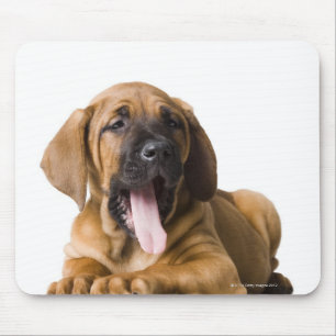 Tapis De Souris Chiot 2