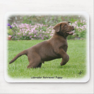 Tapis De Souris Chiot 9Y220D-029 de Labrador