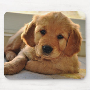 Tapis De Souris Chiot adorable de golden retriever