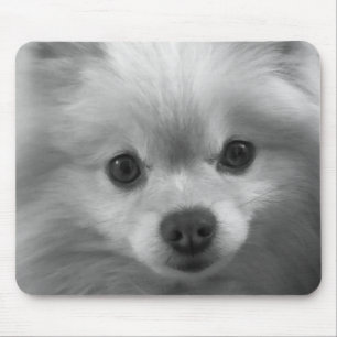 Tapis De Souris Chiot adorable mignon de Pomeranian