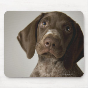 Tapis De Souris Chiot allemand d'indicateur aux cheveux courts