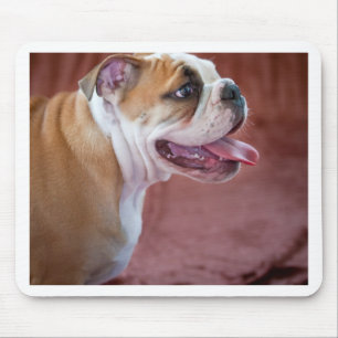 Tapis De Souris Chiot anglais de bouledogue