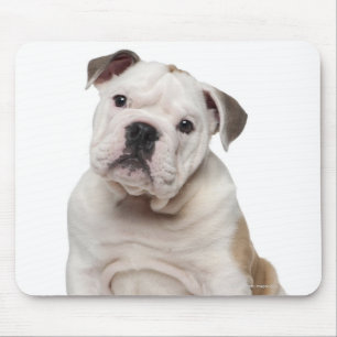 Tapis De Souris Chiot anglais de bouledogue (2 mois)