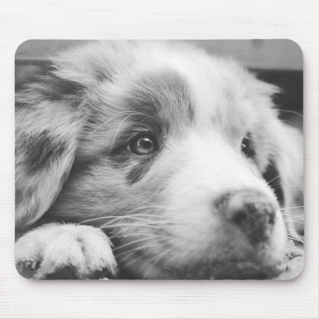 Tapis De Souris chiot australien (Devant)