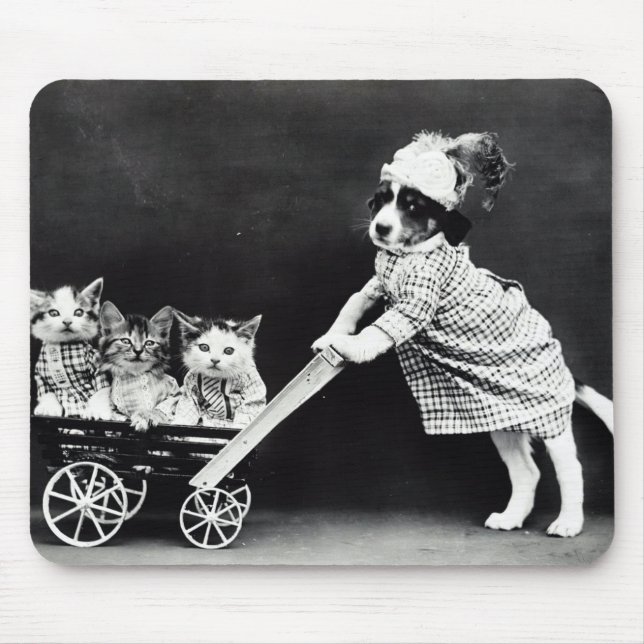 Tapis De Souris Chiot avec trois chatons dans un chariot (Devant)