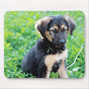 Tapis De Souris Chiot berger allemand