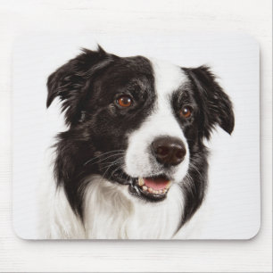 Tapis de souris chiot Border Collie