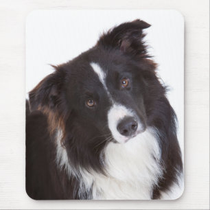 Tapis De Souris Chiot Border Collie noir et blanc