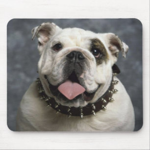 Tapis de souris chiot Bouledogue anglais avec coll